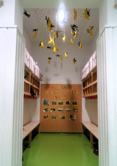 Bananenspinnen